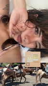 crocodile.notes Altpins Profile Picture