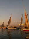 ll.lu1s Altpins Profile Picture