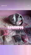 jadelaverne Altpins Profile Picture