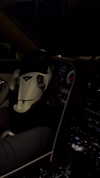 alishenyka Altpins Profile Picture