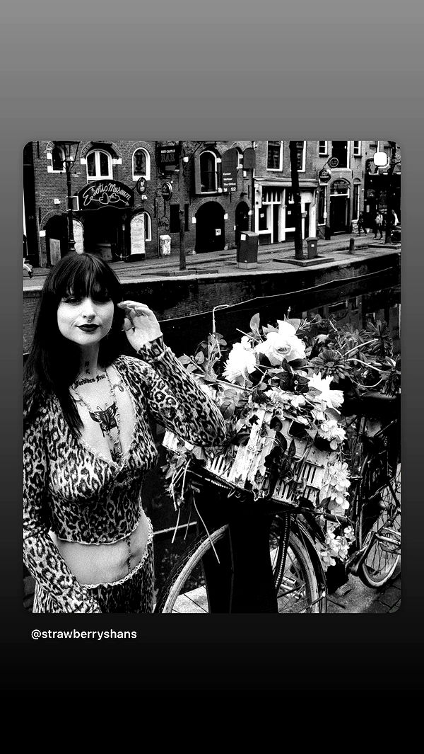 strawberryshans archive video preview