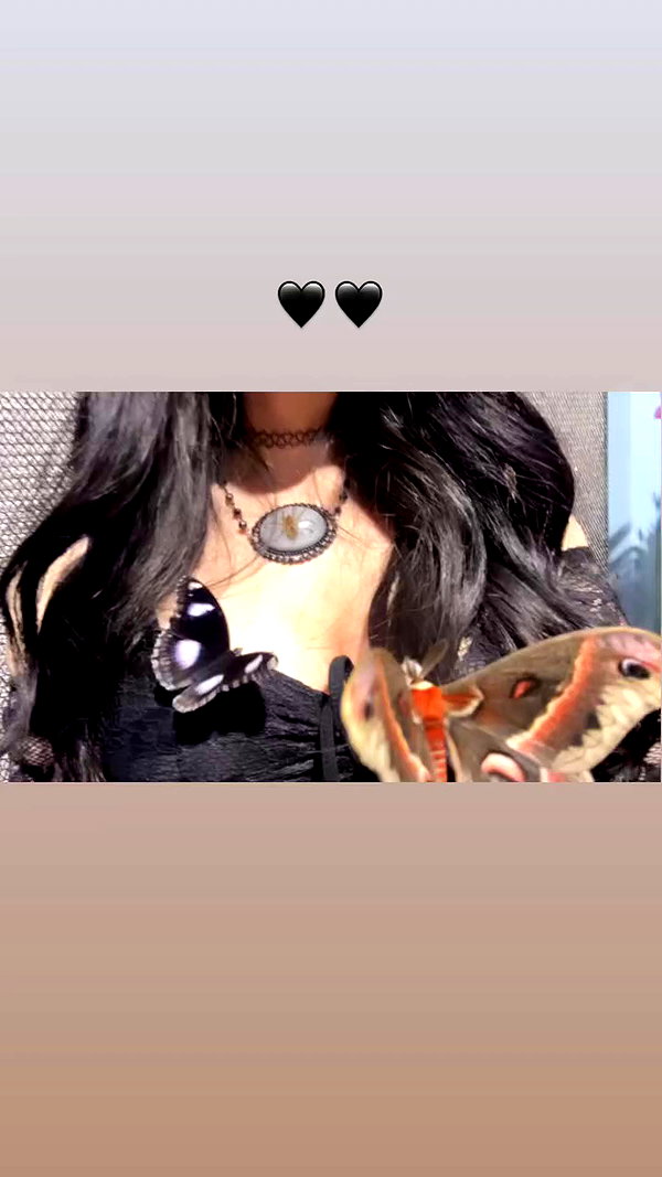butter.on.a.poptart69 archive video preview