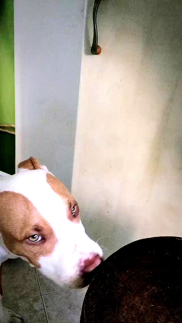 _mashachka_ archive video preview