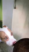 _mashachka_ Altpins Profile Picture