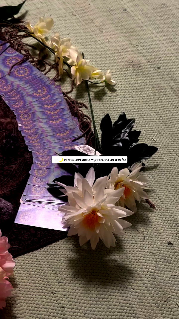 hilla.sela archive video preview