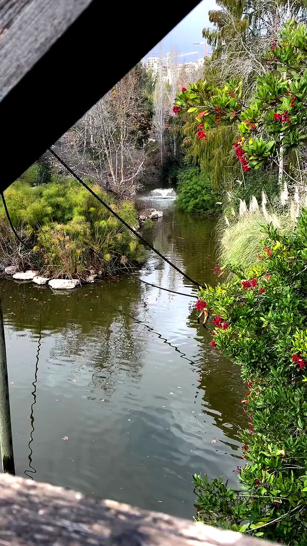 strawberryshanz archive video preview