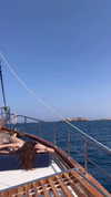 martinagiiuliani Altpins Profile Picture