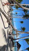 biancanataliie Altpins Profile Picture