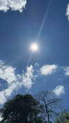 ruth_chavarri Altpins Profile Picture