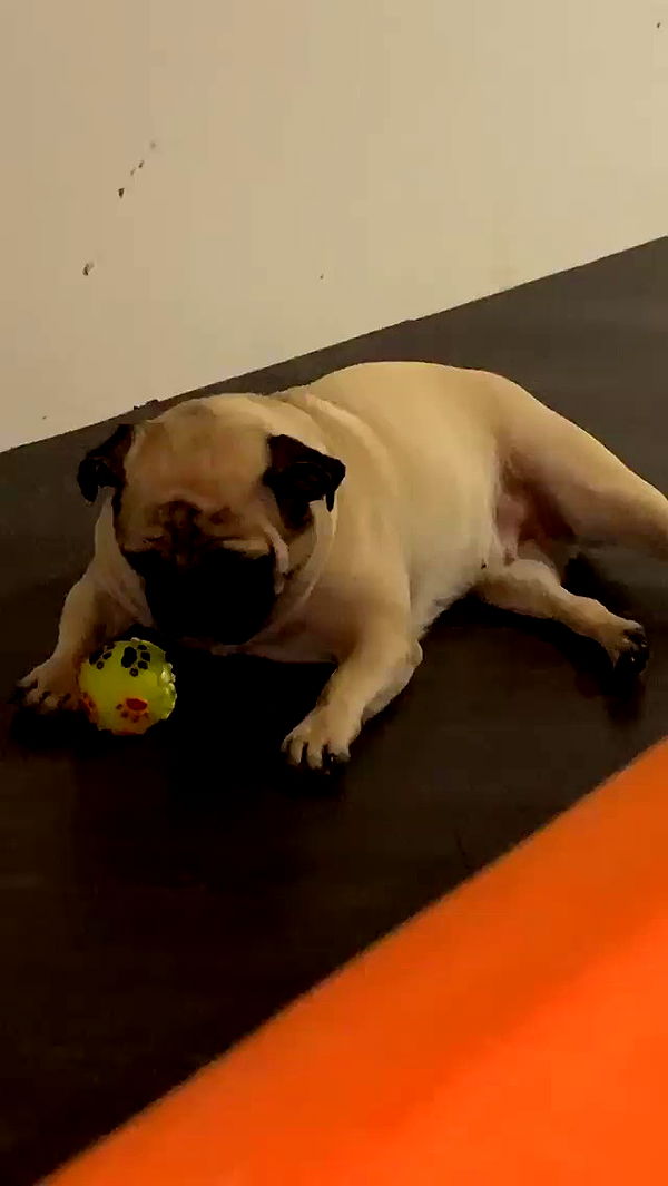 nyityam archive video preview