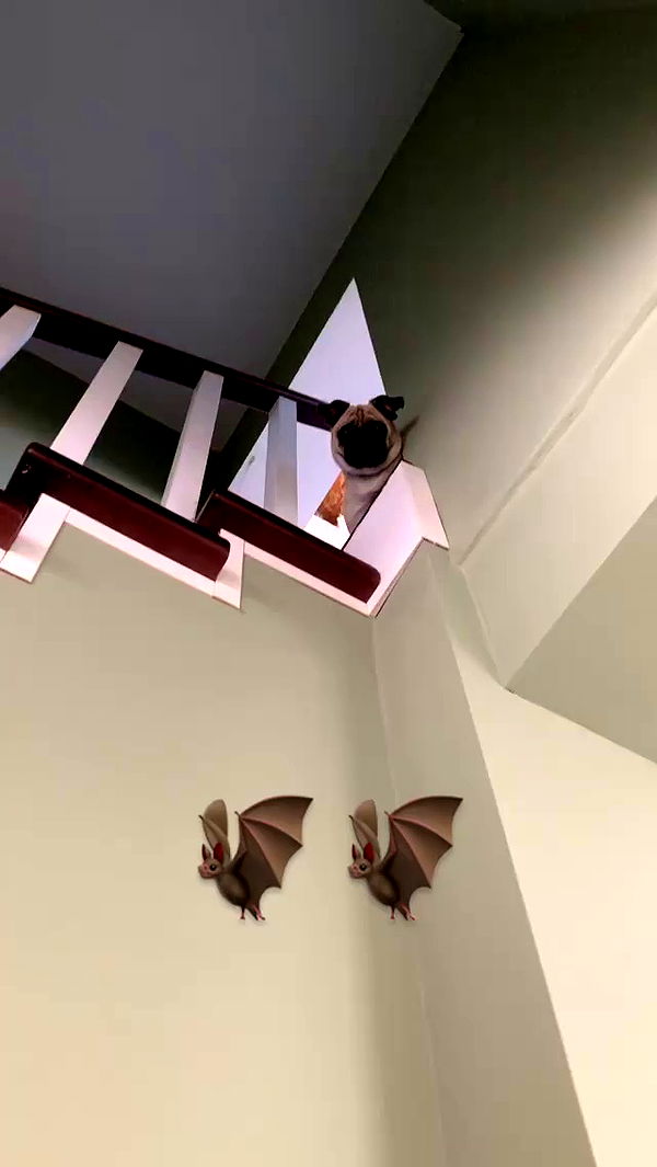 nyityam archive video preview