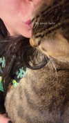 hellokittyangel666 Altpins Profile Picture