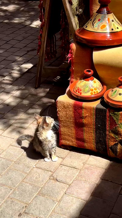 manjolamuriqi manjolamuriqi archive video