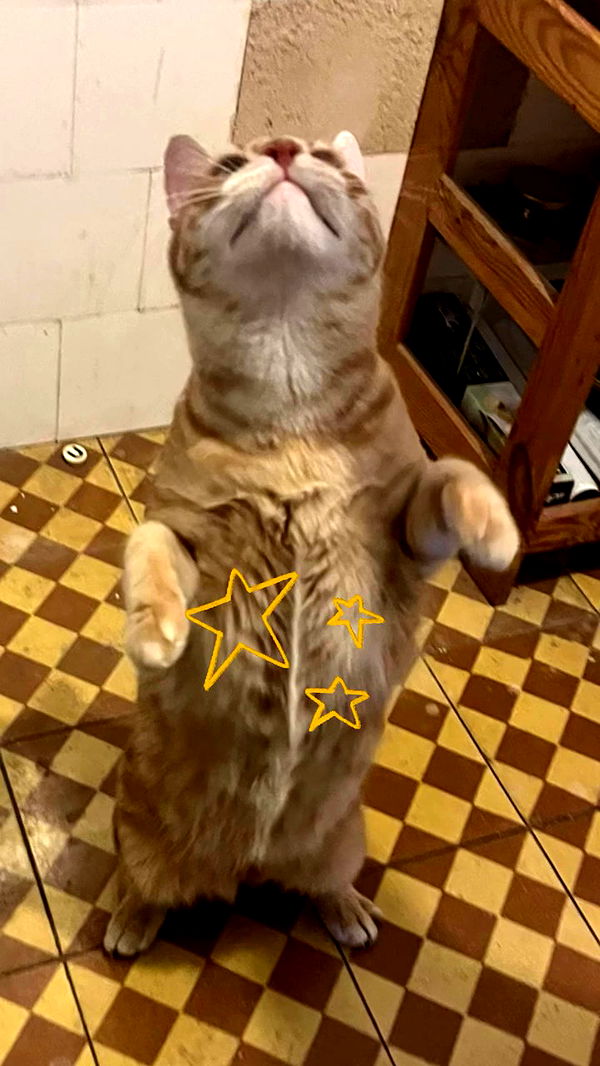 hellokittyangel666 archive video preview