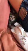 evasela__ Altpins Profile Picture