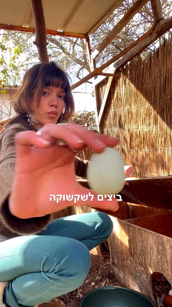 elia.shinar archive video preview
