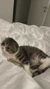 sonia_litvanchuk Altpins Profile Picture