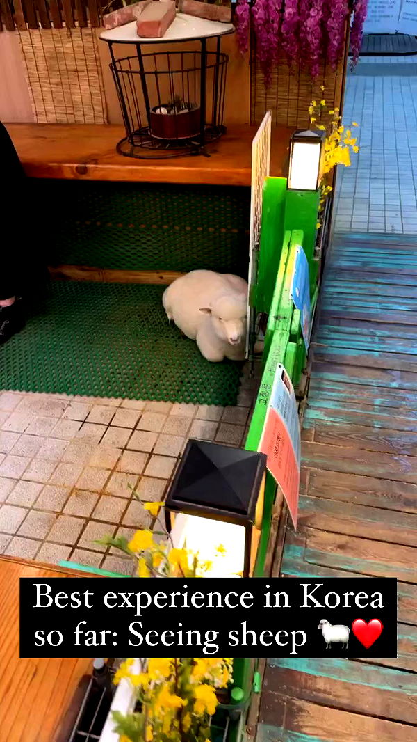 silkton archive video preview