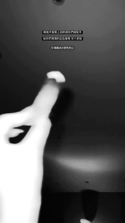 ting851204 ting851204 archive video