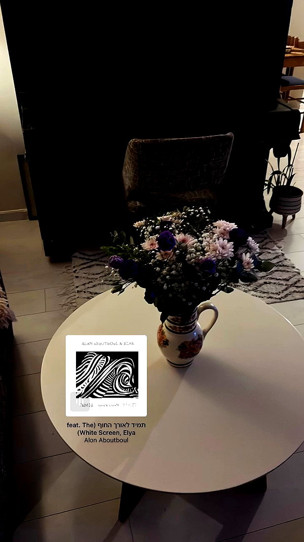shai_landau_ archive video preview