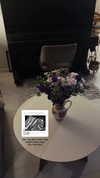 shai_landau_ Altpins Profile Picture