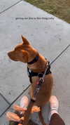 olivia.mathers Altpins Profile Picture