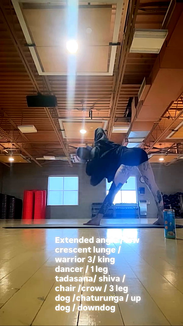 taxevasionkoala archive video preview