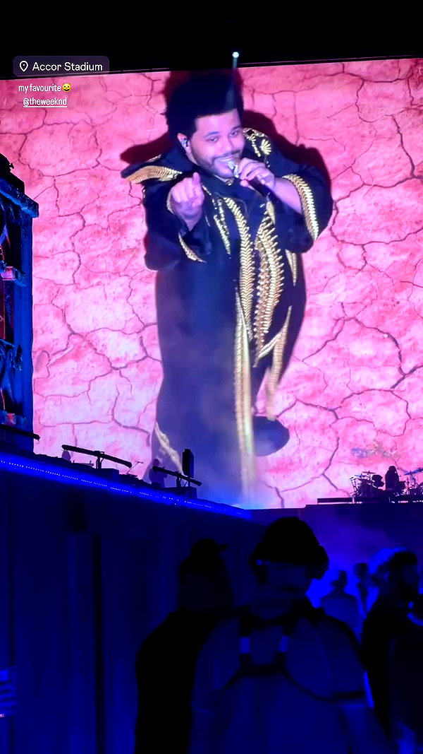 fungusfr0g archive video preview