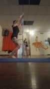 shayli_or Altpins Profile Picture
