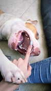 _mashachka_ Altpins Profile Picture