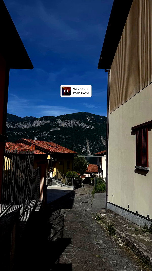 orman.mariee archive video preview