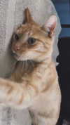 rachelchaleff Altpins Profile Picture