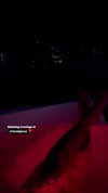 vanessa.rhd Altpins Profile Picture