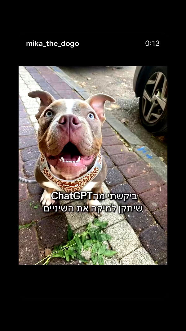 kesemgreenyer archive video preview