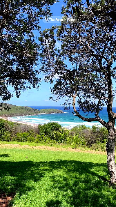 taylor.creeden taylor.creeden archive video