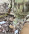 haylujan Altpins Profile Picture