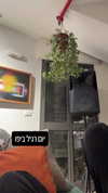 ronyida_ Altpins Profile Picture