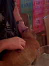 kristinoosh Altpins Profile Picture