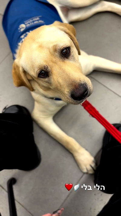 strawberryshanz strawberryshanz archive video