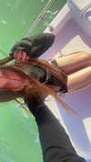 yule4kamraz Altpins Profile Picture