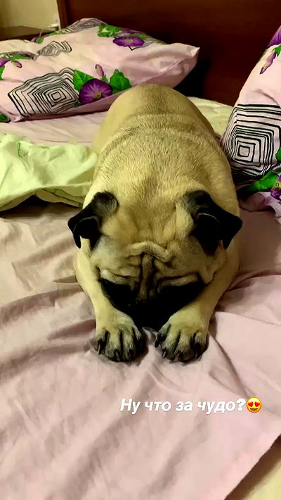 nyityam nyityam archive video