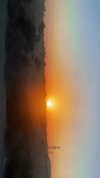 rose_xanne Altpins Profile Picture