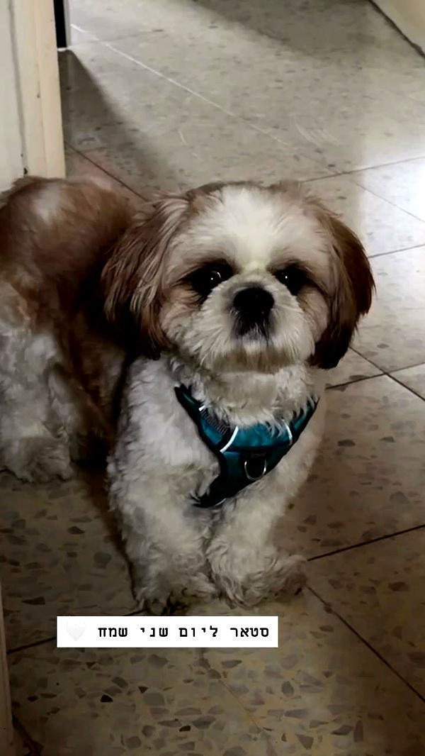 _._dianush._ archive video preview