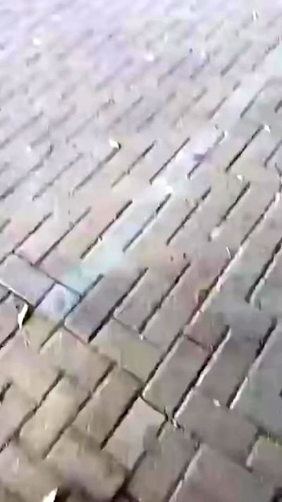 romy_ayalla_lavi romy_ayalla_lavi archive video