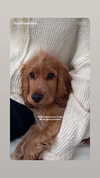 emily_new2 Altpins Profile Picture