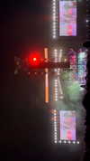 gissell_eli Altpins Profile Picture