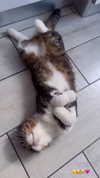 sonia_litvanchuk Altpins Profile Picture
