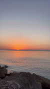 federica.piccinni Altpins Profile Picture