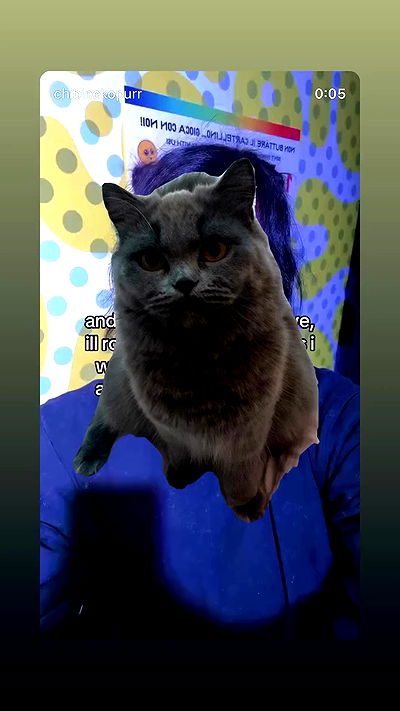 chibinekopurr chibinekopurr archive video