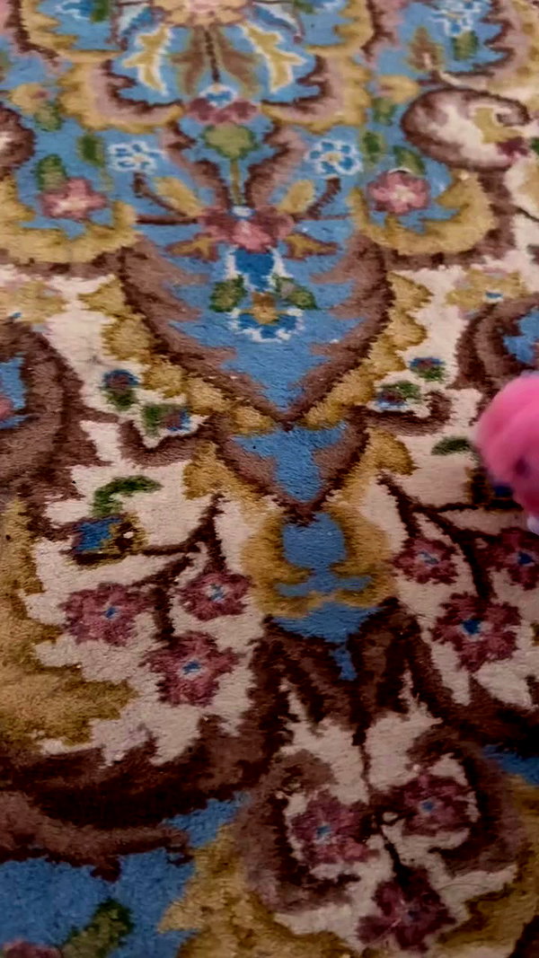 elizabethcampbelljones archive video preview